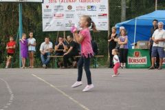 falunap201614