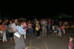 falunap201616