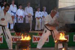 falunap201623