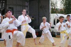 falunap201627