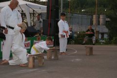falunap201654