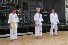 falunap201657