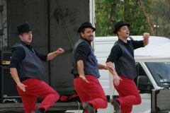 falunap201661