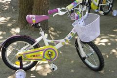 gynap2016009