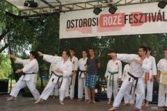 roze094