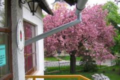 20070614_ostoros2_20070825_1528505819