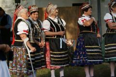 szuretifelvonulas201628