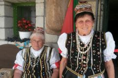 szuretifelvonulas201638