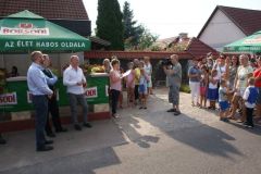 szuretifelvonulas201655