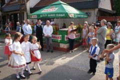 szuretifelvonulas20166