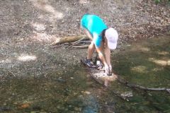 tabor2016028