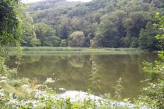 tabor2016032