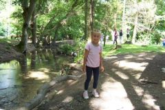tabor2016033
