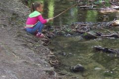 tabor2016044