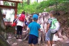 tabor2016064