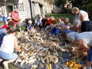 Kukoricafosztás: A Hagyományőrző és Nyugdíjas Klub programja